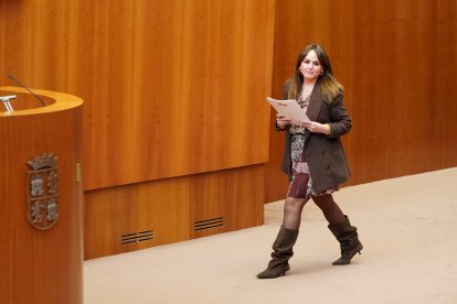 La portavoz del Grupo Parlamentario Socialista, Patricia Gómez, durante el debate de totalidad del Proyecto de Ley de Presupuestos Generales de la Comunidad de Castilla y León para 2026.
