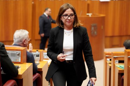 La procuradora popular Rosa Esteban durante el debate de totalidad del Proyecto de Ley de Presupuestos Generales de la Comunidad de Castilla y León para 2026.