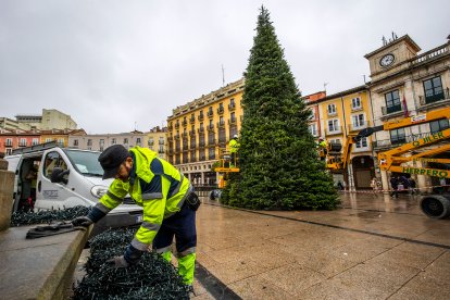 Colocación del Árbol de Navidad en la Plaza Mayor.