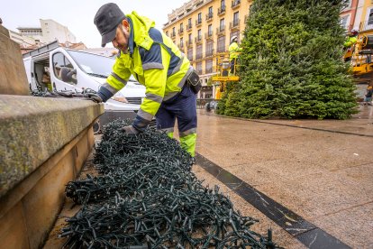 Colocación del Árbol de Navidad en la Plaza Mayor.