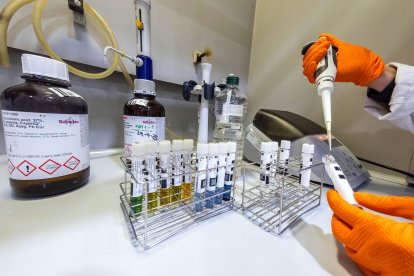 Este es el proceso que se sigue de toma de muestras y de trabajo en el laboratorio de Aguas de Burgos.