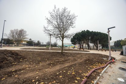 Así están avanzando las obras, como se ve en estas imágenes tomadas en la última semana de noviembre.