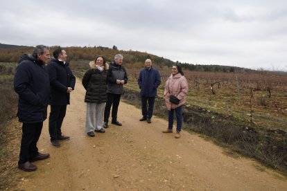 La consejera de Agricultura, Ganadería y Desarrollo Rural, María González Corral, durante su visita a las obras de la infraestructura rural de la concentración parcelaria de Castropodame (León)