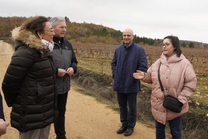 La consejera de Agricultura, Ganadería y Desarrollo Rural, María González Corral, durante su visita a las obras de la infraestructura rural de la concentración parcelaria de Castropodame (León)