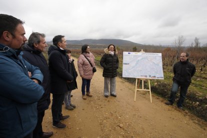 La consejera de Agricultura, Ganadería y Desarrollo Rural, María González Corral, durante su visita a las obras de la infraestructura rural de la concentración parcelaria de Castropodame (León)