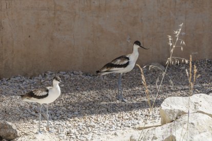 Un momento de una visita al Centro de Biodiversidad de Burgos.