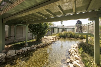 Un momento de una visita al Centro de Biodiversidad de Burgos.
