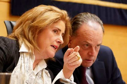 El presidente del Consejo de Cuentas de Castilla y León, Mario Amilivia, comparece para presentar el Plan Anual de Fiscalizaciones para 2026, que se debate y vota a continuación en la Comisión de Economía y Hacienda de las Cortes.