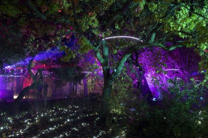 inauguración de la iluminación navideña del Huerto de Calixto y Melibea