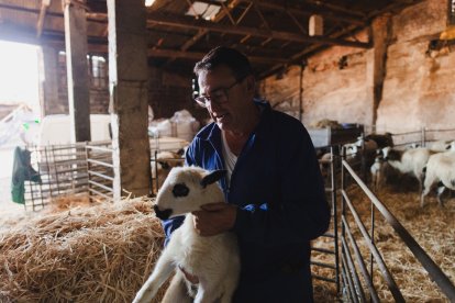 Marca de calidad IGP Lechazo de Castilla y León, en Cubillo de Ojeda