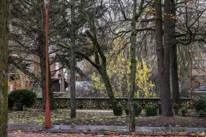 Imágenes del Parque de la Isla en Burgos, un auténtico refugio climático cada verano.