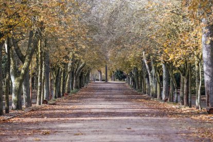 Imágenes del Parque de la Isla en Burgos, un auténtico refugio climático cada verano.