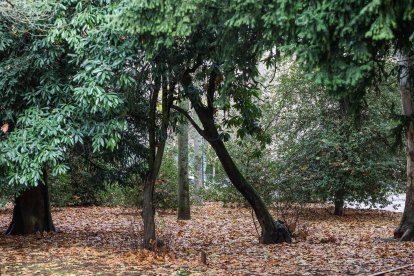 Imágenes del Parque de la Isla en Burgos, un auténtico refugio climático cada verano.