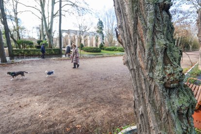 Imágenes del Parque de la Isla en Burgos, un auténtico refugio climático cada verano.
