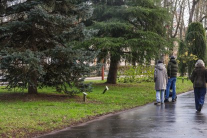 Imágenes del Parque de la Isla en Burgos, un auténtico refugio climático cada verano.