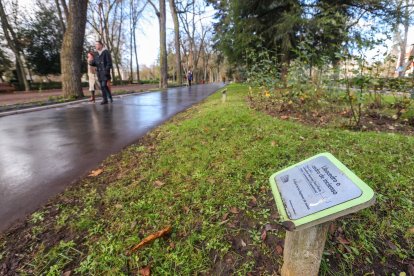 Imágenes del Parque de la Isla en Burgos, un auténtico refugio climático cada verano.