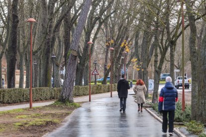 Imágenes del Parque de la Isla en Burgos, un auténtico refugio climático cada verano.