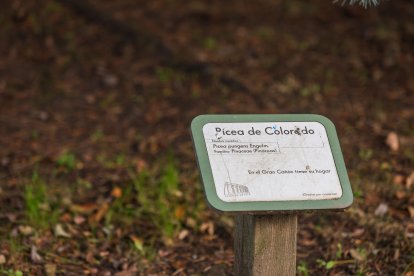 Imágenes del Parque de la Isla en Burgos, un auténtico refugio climático cada verano.