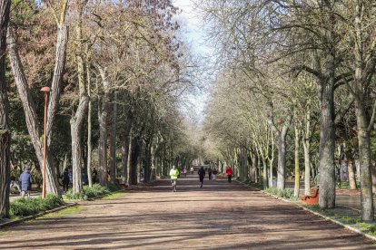 Imágenes del Parque de la Isla en Burgos, un auténtico refugio climático cada verano.