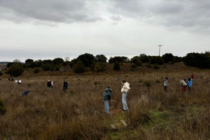 Plantación del pasado 3 de enero