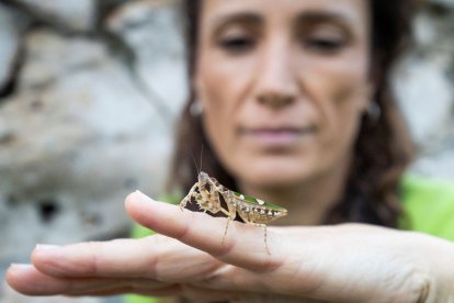 La divulgadora sostiene una mantis en las manos.