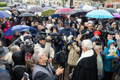 Bendición de animales de San Antón y Los Titos 2026.