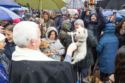 Bendición de animales de San Antón y Los Titos 2026.