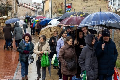 Bendición de animales de San Antón y Los Titos 2026.