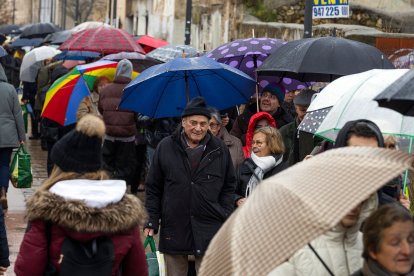 Bendición de animales de San Antón y Los Titos 2026.