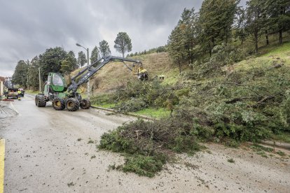 La procesadora forestal retira varios árboles talados en la ladera del Castillo.