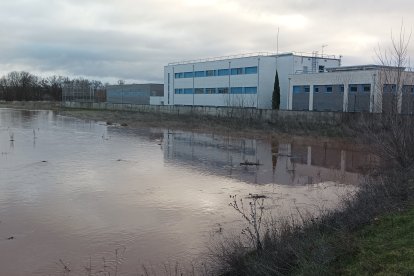 Imagen del río Arlanza a su paso por Lerma.