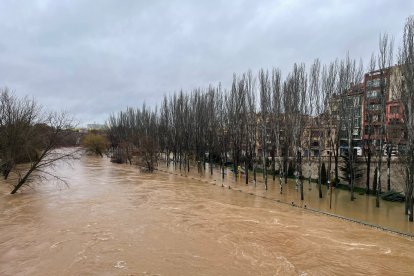El Duero a su paso por Aranda
