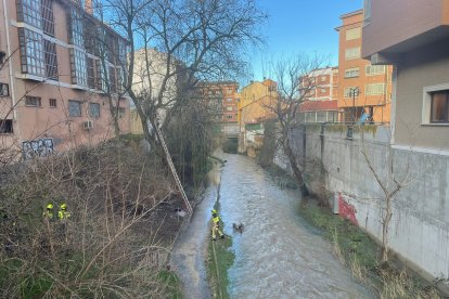 Desbordamiento del río Duero en Aranda de Duero
