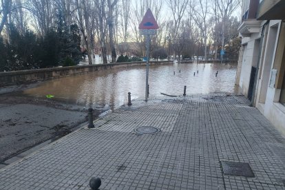 Desbordamiento del río Duero en Aranda de Duero