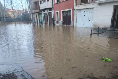 Desbordamiento del río Duero en Aranda de Duero