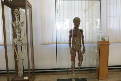El Museo del arquitecto Jerónimo Arroyo; el espacio de Ciencia y Humanismo en la torre observatorio; y las tres salas del Museo de Ciencias Naturales(en la imagen) conforman un recorrido que sorprende incluso a antiguos alumnos