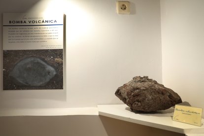 El Museo del arquitecto Jerónimo Arroyo; el espacio de Ciencia y Humanismo en la torre observatorio; y las tres salas del Museo de Ciencias Naturales(en la imagen) conforman un recorrido que sorprende incluso a antiguos alumnos