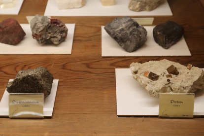 El Museo del arquitecto Jerónimo Arroyo; el espacio de Ciencia y Humanismo en la torre observatorio; y las tres salas del Museo de Ciencias Naturales(en la imagen) conforman un recorrido que sorprende incluso a antiguos alumnos