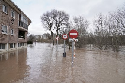 Inundaciones en Tudela de Duero por la subida de nivel del Río Duero