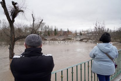 Inundaciones en Tudela de Duero por la subida de nivel del Río Duero