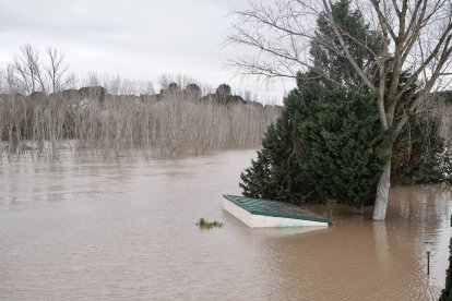 Inundaciones en Tudela de Duero por la subida de nivel del Río Duero
