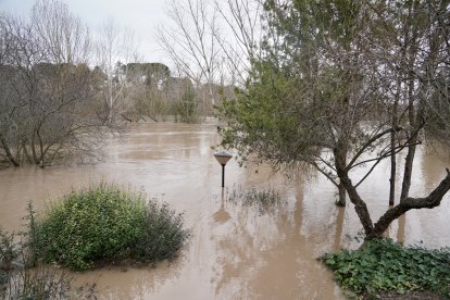 Inundaciones en Tudela de Duero por la subida de nivel del Río Duero