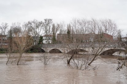 Inundaciones en Tudela de Duero por la subida de nivel del Río Duero