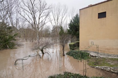 Inundaciones en Tudela de Duero por la subida de nivel del Río Duero