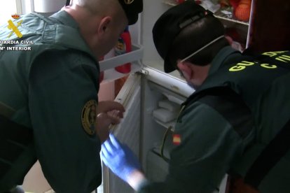La Guardia Civil durante el desmantelamiento del 'criadero de los horrores'.