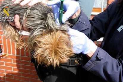 La Guardia Civil durante el desmantelamiento del 'criadero de los horrores'.