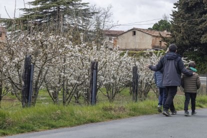Padre e hijos contemplan los cerezos en flor de la zona de Caderechas