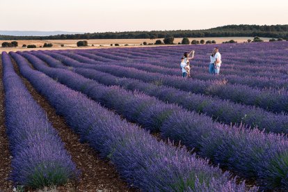 Una familia captura en imágenes su visita a los campos de lavada de Caleruega.