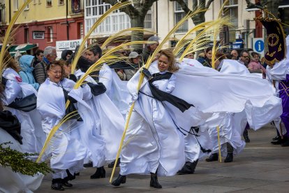 Imagen de la procesión de la Borriquilla durante el Domingo de Ramos de la Semana Santa de 2026 en Burgos.