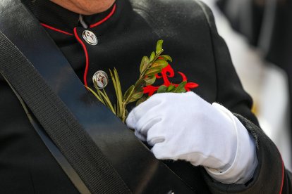 Imagen de la procesión de la Borriquilla durante el Domingo de Ramos de la Semana Santa de 2026 en Burgos.